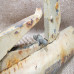 Panzerfaust 60  empty pipe great condition 